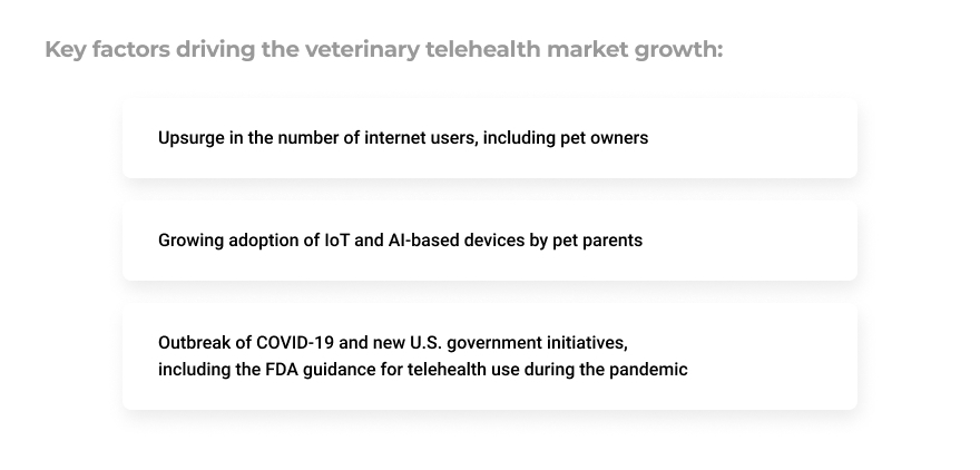pet-care-in-the-age-of-telehealth-Pic-3