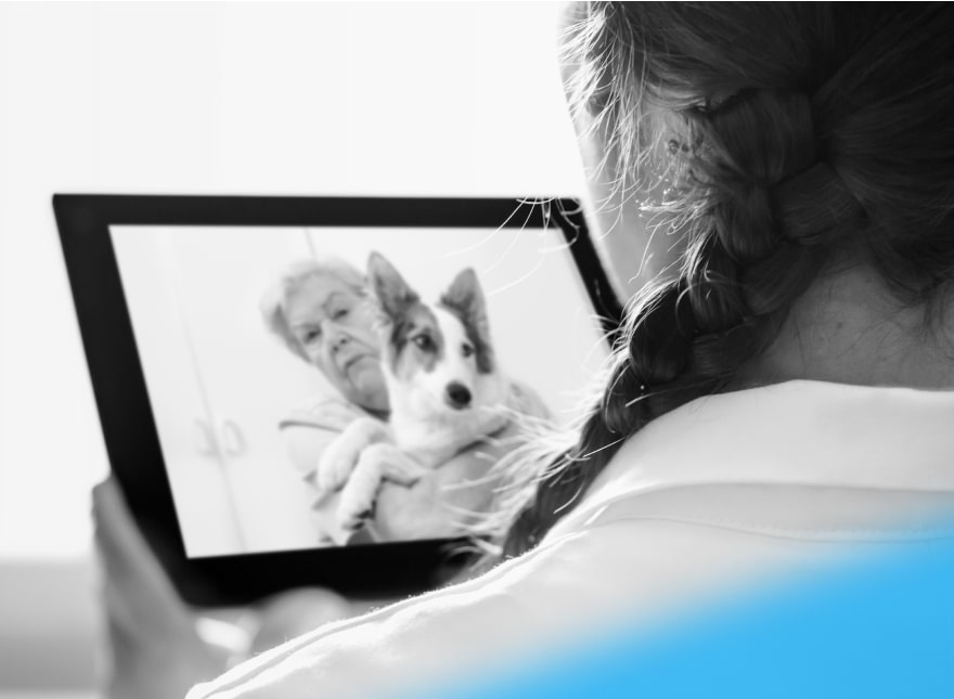 Pet Care in the Age of Telehealth (Part I)