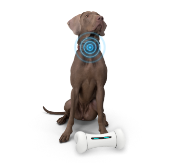 Pet Tech Innovations: Revolutionizing Pet Care and Connectivity